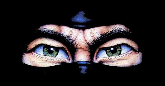 The-Last-Ninja-eyes.jpg